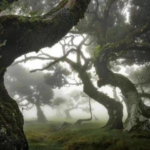 结局是伤害//finalhurts