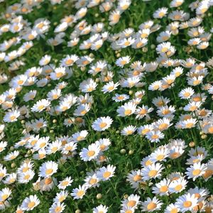 【free】‘‘眼’‘’Jazz hiphop