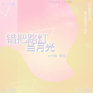 错把路灯当月光