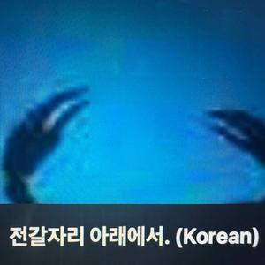 전갈자리 아래에서. (Korean)