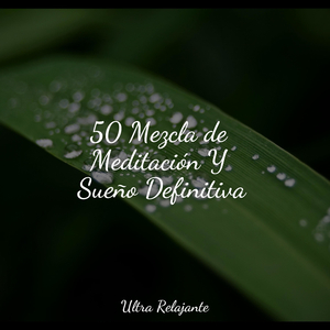 Perdido en El Paraíso