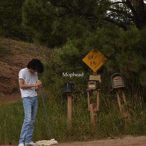 Mophead