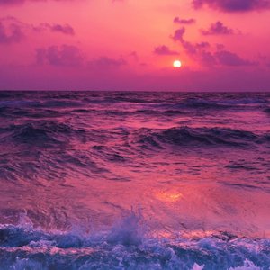 我唯一青春里的路人