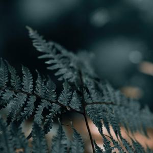 就让春风带走我的思念