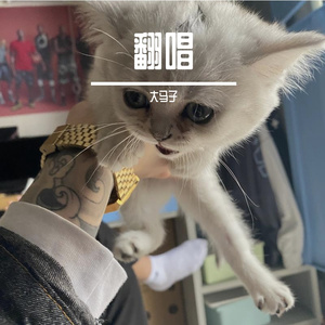 杜英北路与香樟东路交叉口南150米 3(320Kbps)