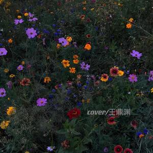 时间里的花（翻自 魏雪漫）