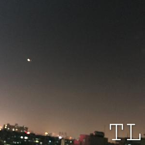 TL（PhonekissesRemix）