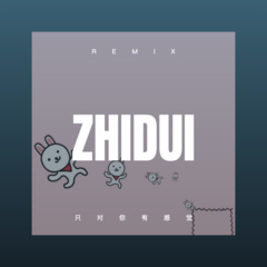 我在红尘中等你 (DJ版)