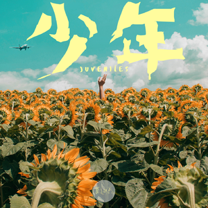 少年（临时版）