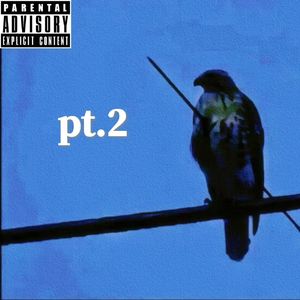 笼中鸟pt2 prod by.981AudioClub