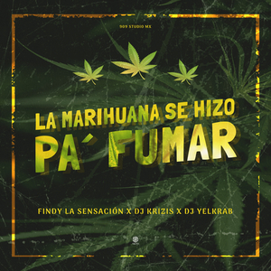 La Marihuana Se Hizo Pa´ Fumar