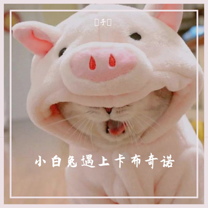 小白兔遇上卡布奇诺