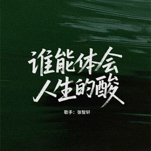 谁能体会人生的酸