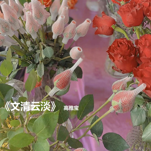 文清云淡