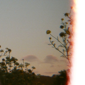 i still call you up, when i drink too much