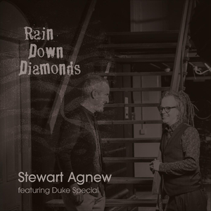 Rain Down Diamonds (feat. Duke Special)