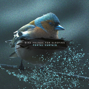 Swallows Songs