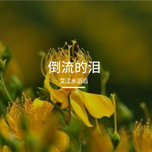 倒流的泪