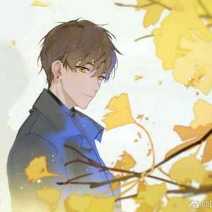 《随风降落》【白起角色歌】（翻自 南风ZJN）