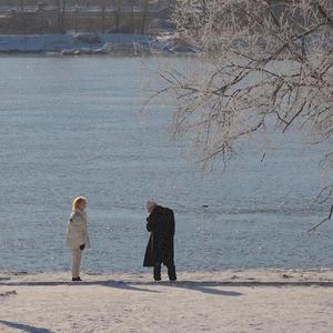 阿拉斯加海湾（翻自 菲道尔）