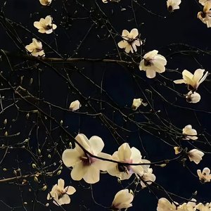 在你之后，我没有拿得出手的痛苦