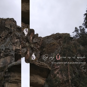 Para Tener un Columpio Solo Basta Con Colgarse de un Árbol