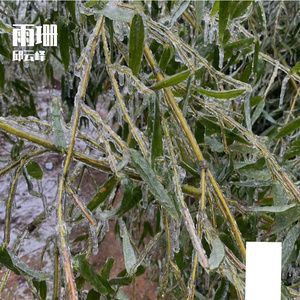 雨伞褶皱