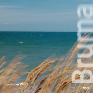 Summer Wind