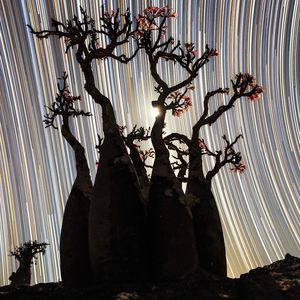 As We Float (Ambient)