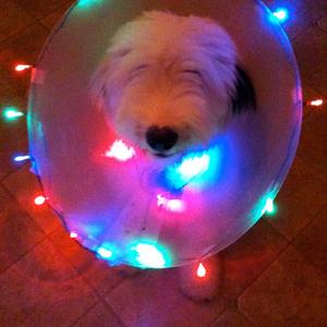 I Wanna Make a Difference