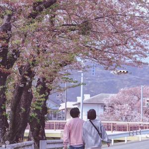 失夜1999（翻自 终将安全着陆）