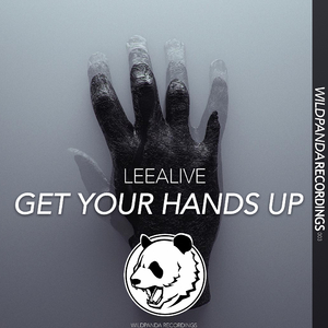 GET YOUR HANDS UP(Original Mix)