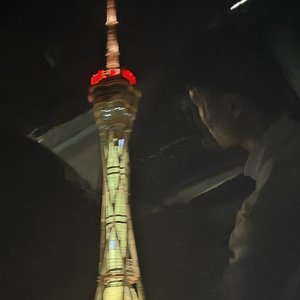 说不上爱别说谎(白晶晶)