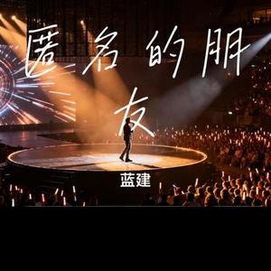 匿名的朋友 (蓝建 Remix)