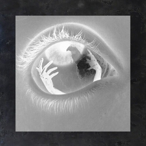 QUESTIONING YOUR THEORY (SUDZY FLIP)