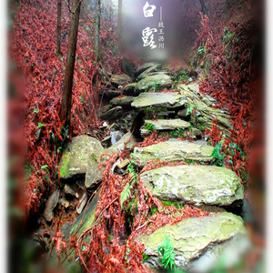 白露（Cover いつか帰るところ）