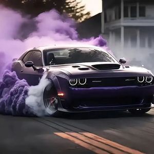 地狱猫进行曲 (骚猫）