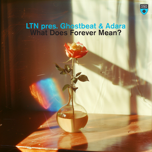 What Does Forever Mean? (Extended Mix)