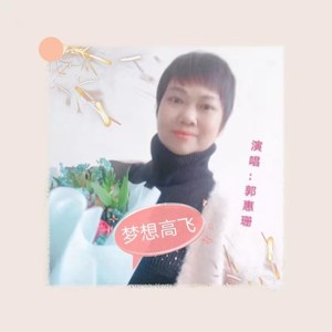 梦想高飞