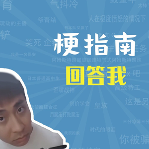 回答我是什么梗（梗指南）