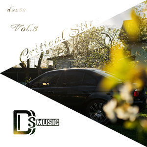 The Unknown (Original Mix)