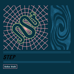 Step