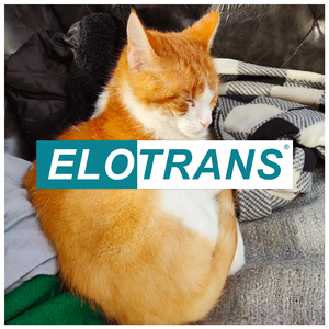 Elotrans