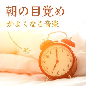 太陽の光を浴びる