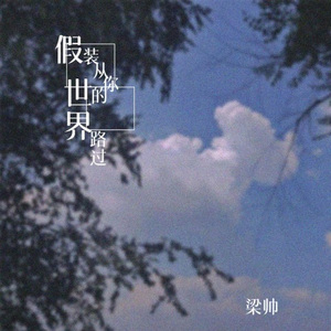 假装从你的世界路过