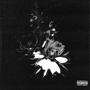 昙花一现(FEAT.XERXE$)