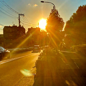 オレンジの雨上がり
