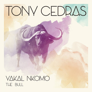 Yakal Nkomo (The Bull) (Single Version)