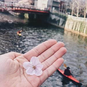 心事从无声开场