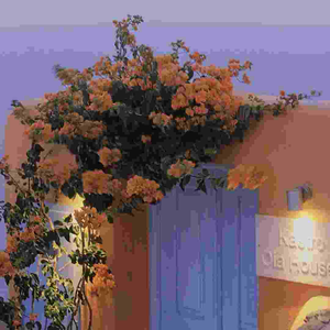 无人私语时·太真